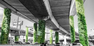 Para melhorar o ar a cidade do México transforma pilares de viadutos em jardins verticais