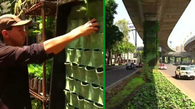 inspiringlife.pt - Para melhorar o ar a cidade do México transforma pilares de viadutos em jardins verticais