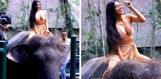 A triste história por trás das polémicas fotos de Kim Kardashian montando um elefante