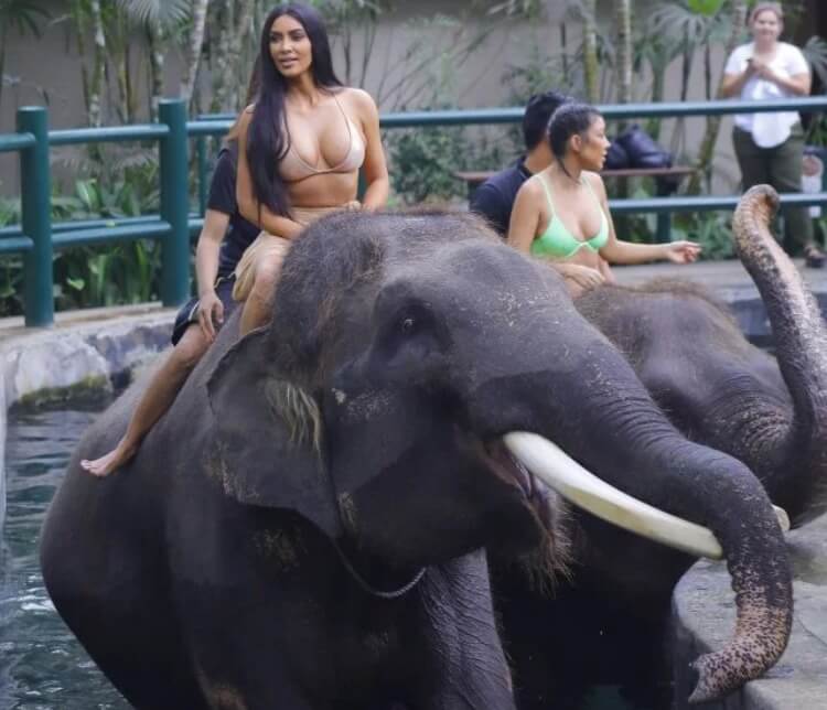 inspiringlife.pt - A triste história por trás das polémicas fotos de Kim Kardashian montando um elefante