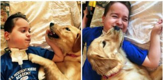 Criança com paralisia que já não sorria, até que chegou um cão e transformou a sua vida