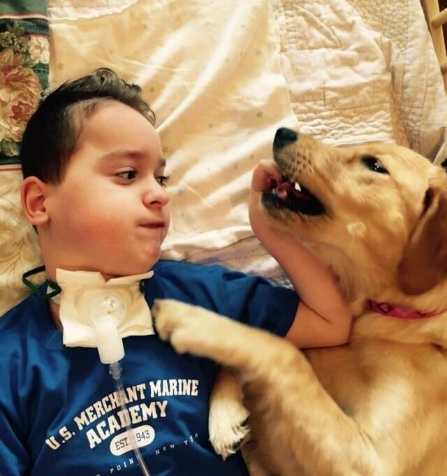 inspiringlife.pt - Criança com paralisia que já não sorria, até que chegou um cão e transformou a sua vida