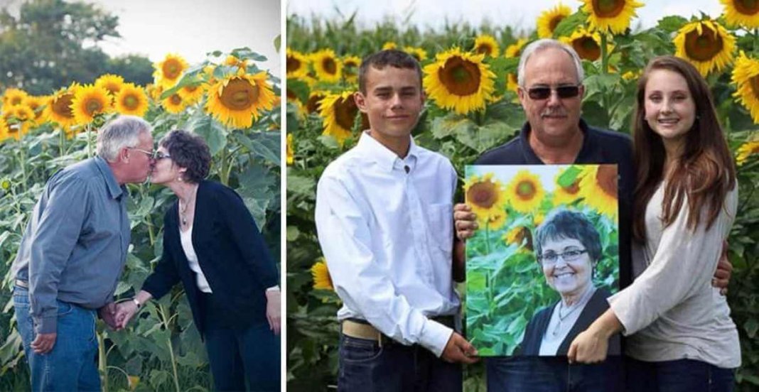 Homem planta mais de 1000 girassóis para homenagear sua esposa que morreu de câncer