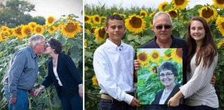 Homem planta mais de 1000 girassóis para homenagear sua esposa que morreu de câncer