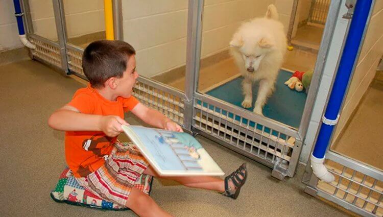 inspiringlife.pt - Crianças leem para cães que já sofreram de maus tratos