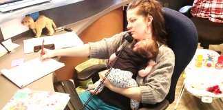 Mãe leva bebé recém-nascido para o trabalho e o chefe tirou fotos sem que ela percebesse