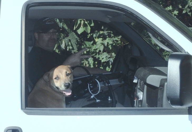 inspiringlife.pt - Cachorro seguiu polícias até que os convenceu a trabalhar com eles