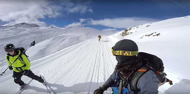 inspiringlife.pt - Ele estava a praticar snowboard quando encontrou um cavalo em apuros