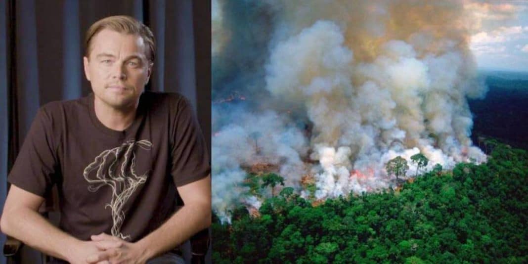 Leo DiCaprio doa 5 milhões de dólares e conta para combater incêndios na Amazónia