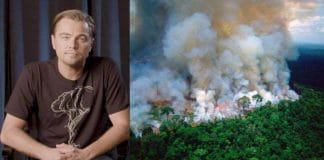 Leo DiCaprio doa 5 milhões de dólares e conta para combater incêndios na Amazónia