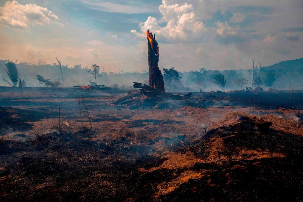 inspiringlife.pt - Leo DiCaprio doa 5 milhões de dólares e conta para combater incêndios na Amazónia