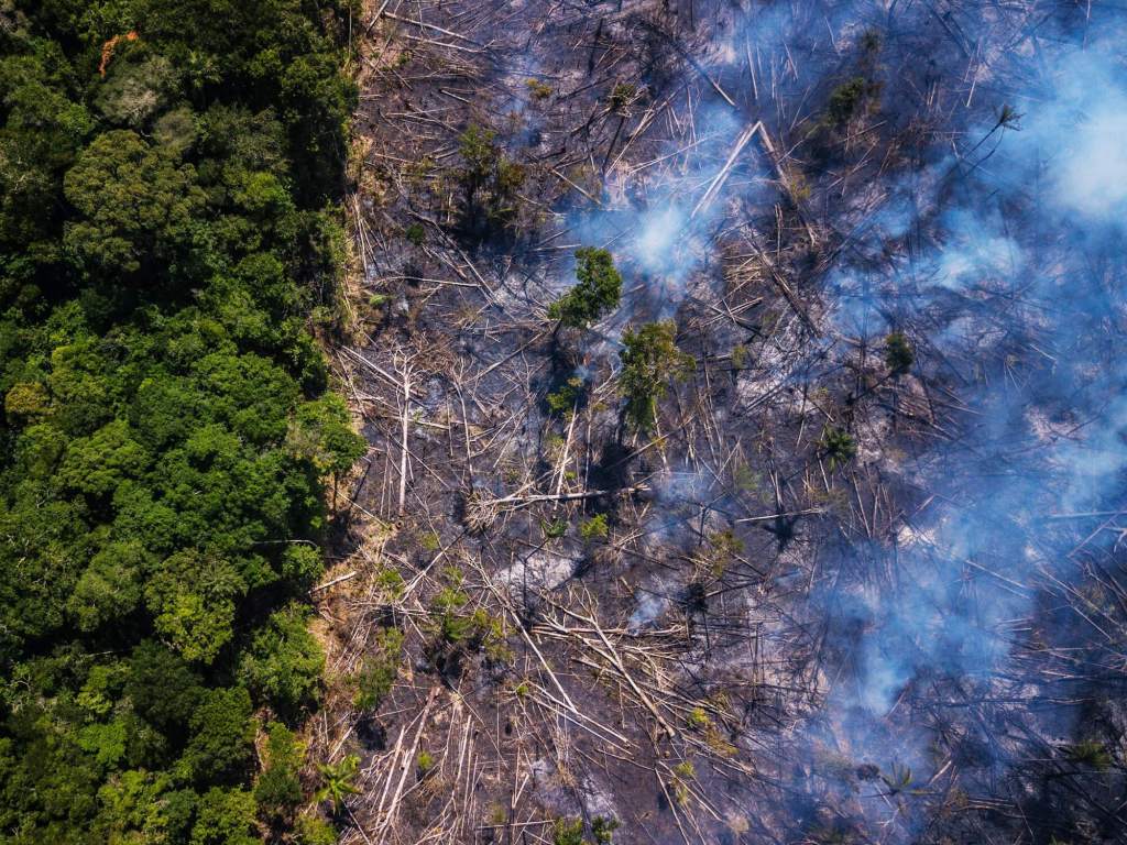 inspiringlife.pt - Leo DiCaprio doa 5 milhões de dólares e conta para combater incêndios na Amazónia