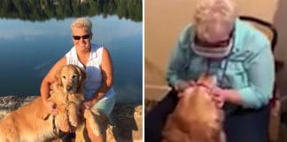 Mulher cega conseguiu ver o seu cão guia através de nova tecnologia