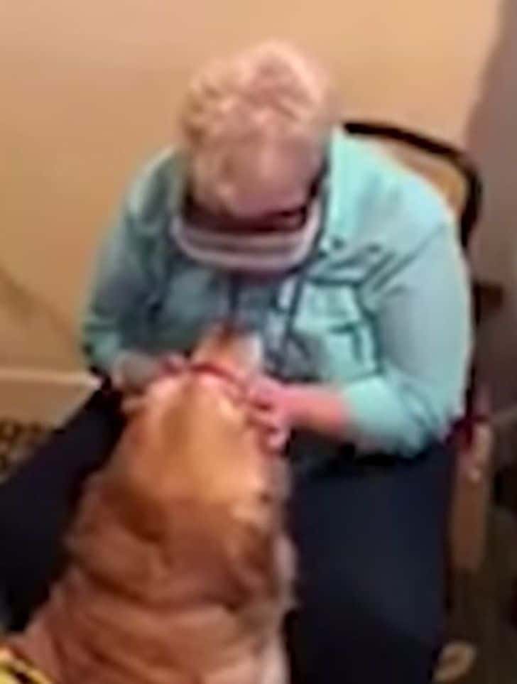 inspiringlife.pt - Mulher cega conseguiu ver o seu cão guia através de nova tecnologia