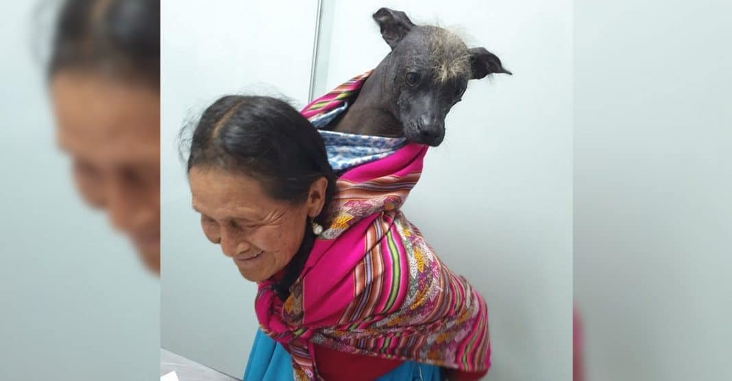 Mulher idosa carrega o seu cachorro nas costa para levá-lo ao médico