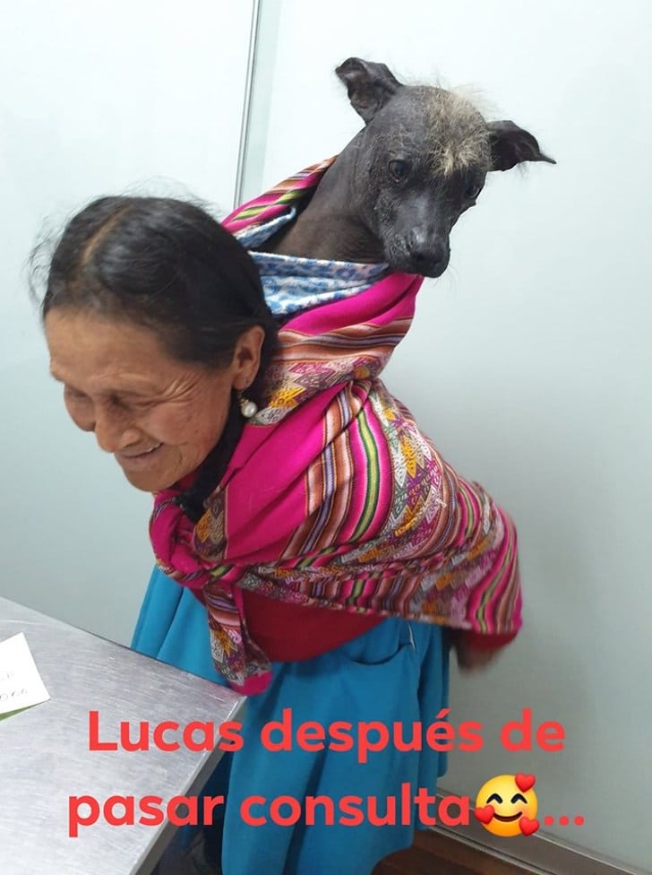 inspiringlife.pt - Mulher idosa carrega o seu cachorro nas costa para levá-lo ao médico