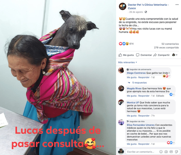 inspiringlife.pt - Mulher idosa carrega o seu cachorro nas costa para levá-lo ao médico