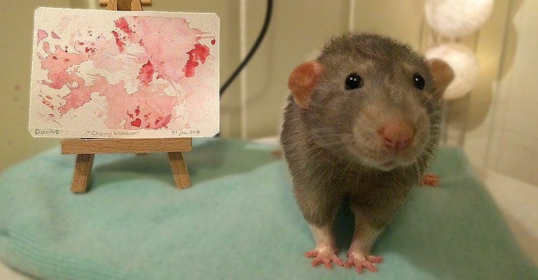 Estudante de arte treinou o seu hamster a pintar com as patas
