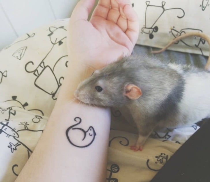 inspiringlife.pt - Estudante de arte treinou o seu hamster a pintar com as patas