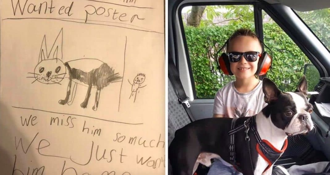 Menino espalhou desenhos do seu cão pelo bairro e 2 semanas depois estava de volta