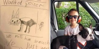 Menino espalhou desenhos do seu cão pelo bairro e 2 semanas depois estava de volta