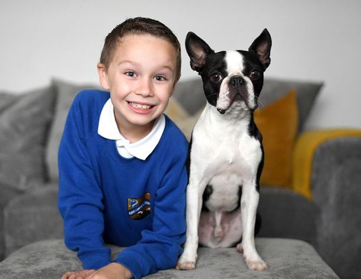 inspiringlife.pt - Menino espalhou desenhos do seu cão pelo bairro e 2 semanas depois estava de volta