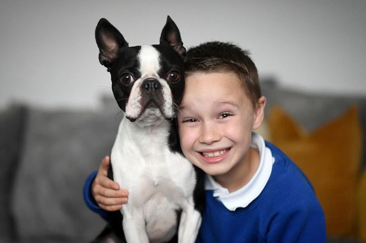 inspiringlife.pt - Menino espalhou desenhos do seu cão pelo bairro e 2 semanas depois estava de volta