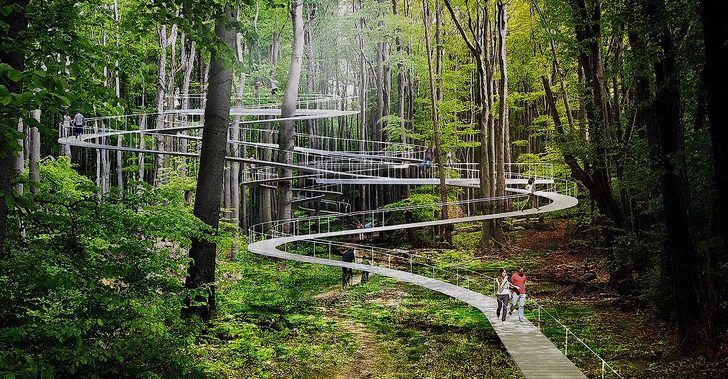 inspiringlife.pt - Vão criar parque para caminhar entre as copas das árvores