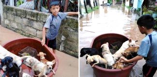 Menino de 10 anos usou balde de plástico para salvar animais de uma inundação