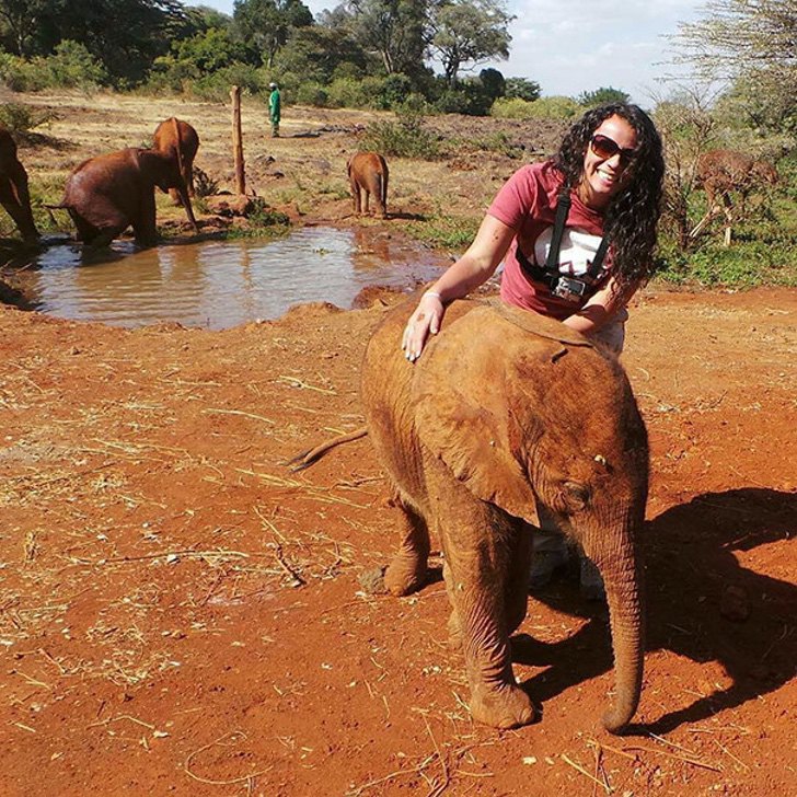 inspiringlife.pt - Elefante bebé perdeu a mãe mas ganhou uma amiga avestruz