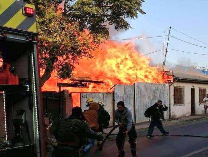 inspiringlife.pt - Labrador velhinho salvou a sua família de 4 pessoas de um incêndio