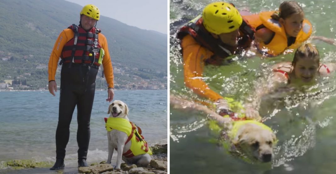 A Itália usa cães salva-vidas para ajudar nos resgates