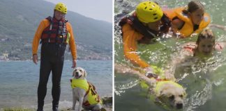 A Itália usa cães salva-vidas para ajudar nos resgates