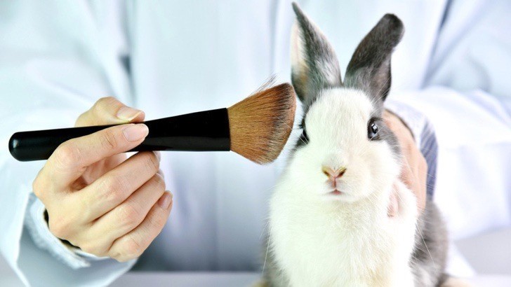 inspiringlife.pt - Colômbia proíbe teste de maquilhagem em animais