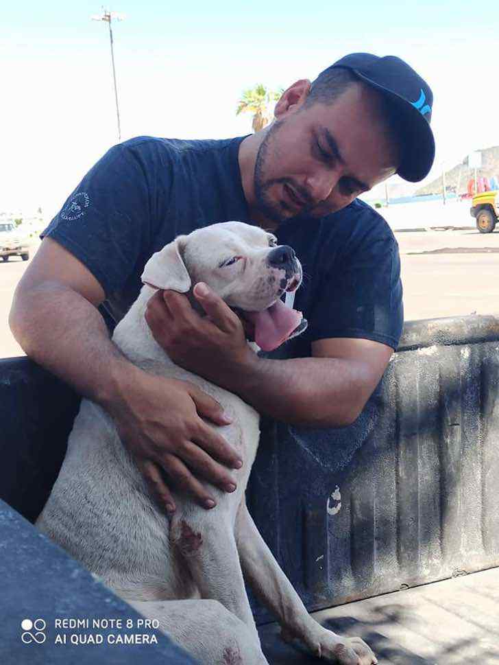 inspiringlife.pt - Ele levou o seu cachorro doente à última caminhada antes do descanso eterno