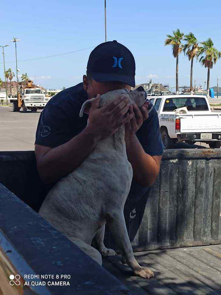 inspiringlife.pt - Ele levou o seu cachorro doente à última caminhada antes do descanso eterno