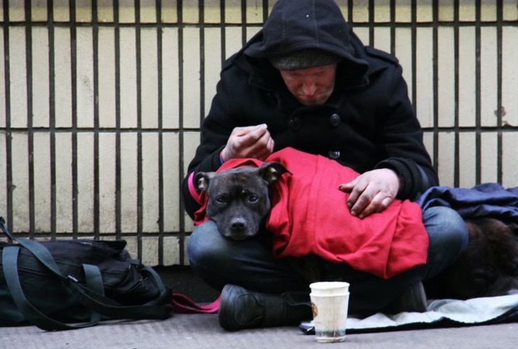 inspiringlife.pt - Médico alimenta diariamente cães de rua fora do seu consultório