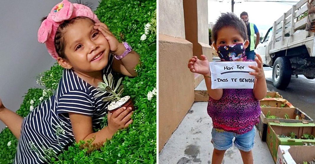 Menina de 3 anos vende plantas para pagar o seu tratamento de leucemia