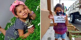 Menina de 3 anos vende plantas para pagar o seu tratamento de leucemia