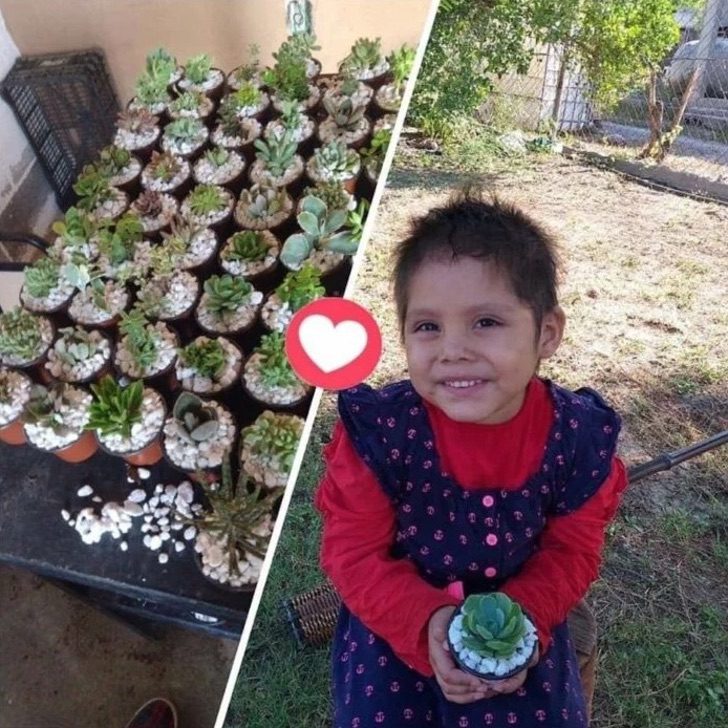 inspiringlife.pt - Menina de 3 anos vende plantas para pagar o seu tratamento de leucemia
