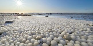 Milhares de bolas congeladas aparecem nas praias da Finlândia