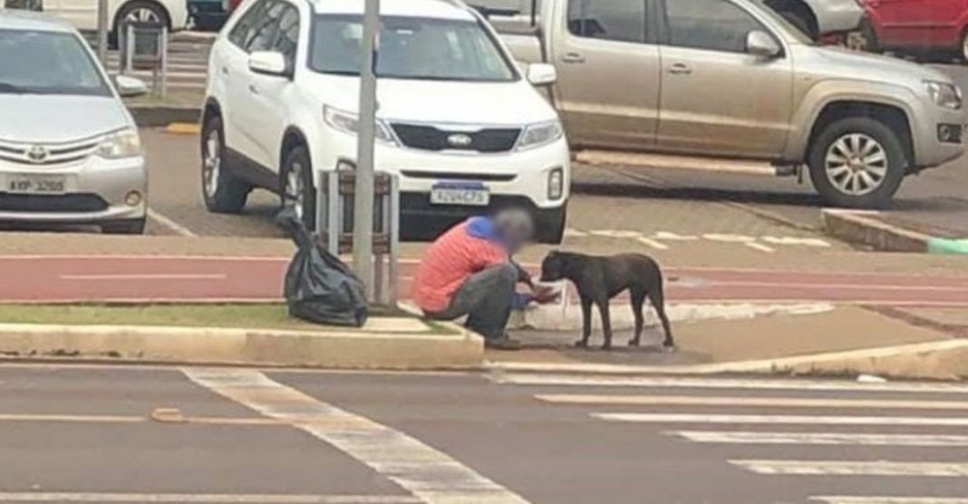 Morador de rua partilha a sua comida com um cachorro de rua