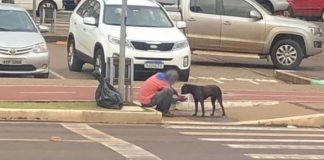 Morador de rua partilha a sua comida com um cachorro de rua