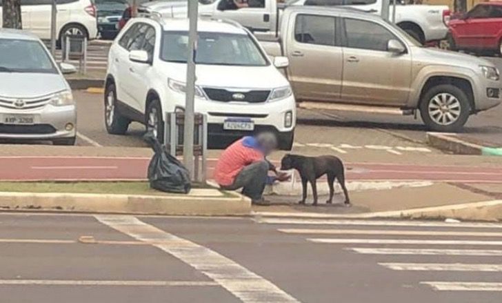 inspiringlife.pt - Morador de rua partilha a sua comida com um cachorro de rua