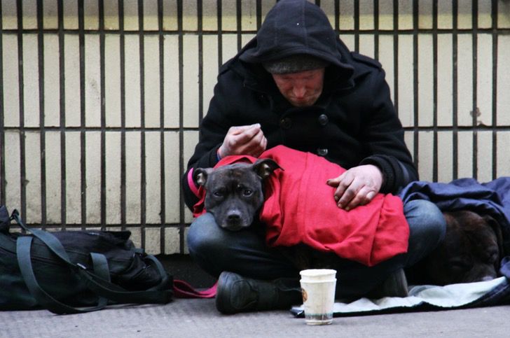 inspiringlife.pt - Morador de rua partilha a sua comida com um cachorro de rua