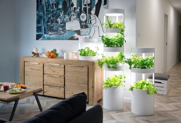 inspiringlife.pt - Jardins verticais permitem cultivar até 76 plantas dentro de casa