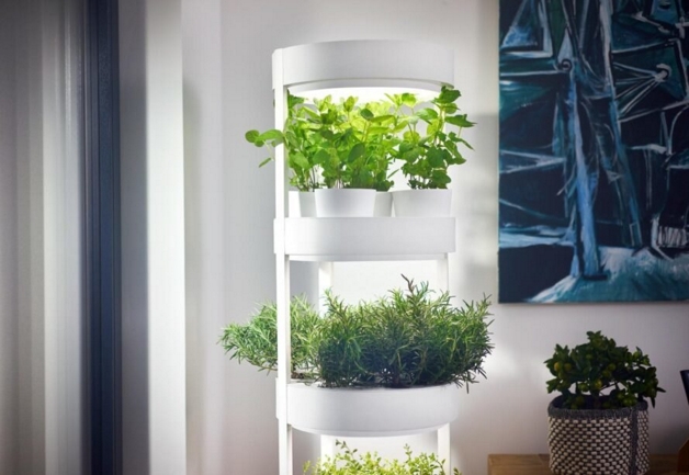 inspiringlife.pt - Jardins verticais permitem cultivar até 76 plantas dentro de casa