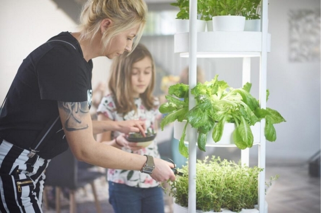 inspiringlife.pt - Jardins verticais permitem cultivar até 76 plantas dentro de casa