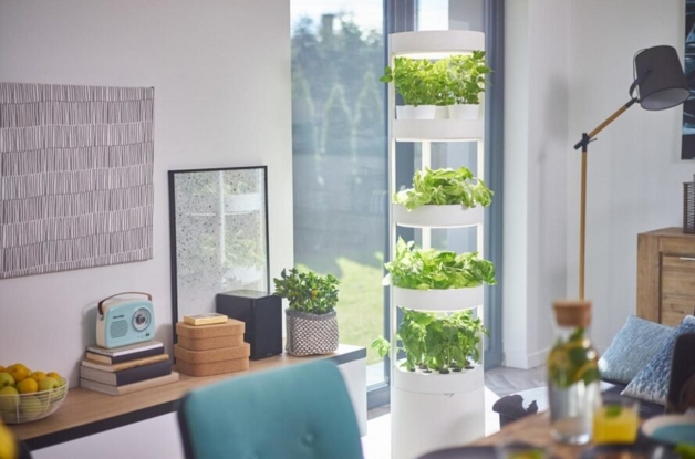 inspiringlife.pt - Jardins verticais permitem cultivar até 76 plantas dentro de casa