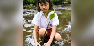 Nas Filipinas foi aprovada uma lei que exige que os alunos plantem 10 árvores para se formar